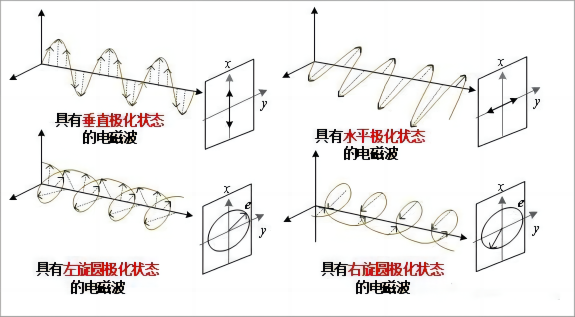 通信术语——极化（Polarization）